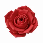Filamenton PREMIUM PLA - Karminvörös - 1,75 mm