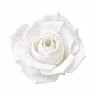 Filamenton PREMIUM PLA - White - 1,75 mm - 100 g