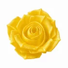 Filamenton ECO PETG - Natural - 1,75 mm