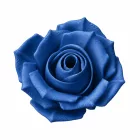 Filamenton ECO PETG - Natural - 1,75 mm
