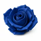 Filamenton ECO PLA - Cherry- 1,75 mm